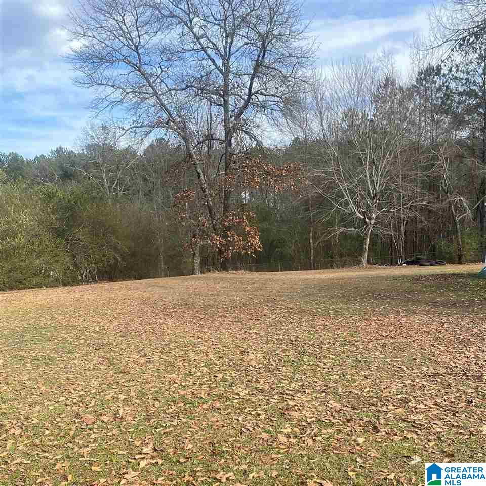60 Payne Road Empire, AL 35063 - Photo 17 of 17