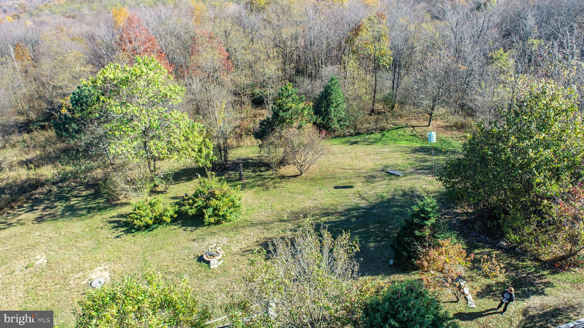 3836 Chestnut Grove Road Swanton, MD 21561 - Photo 10 of 111 a view of a yard with a tree