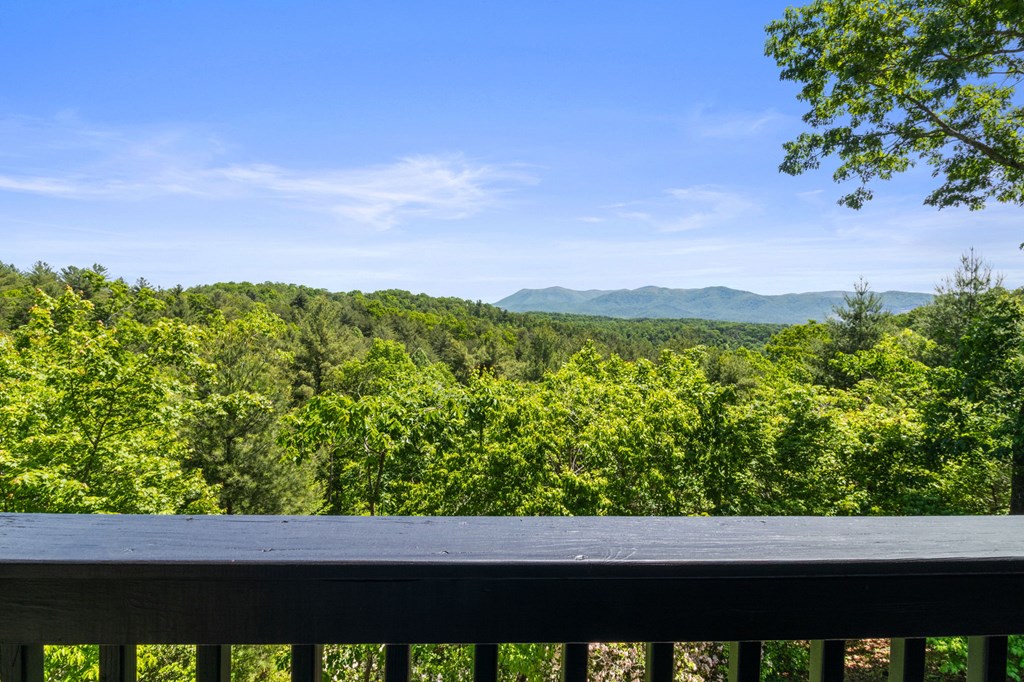 495 Trails End Ridge Ellijay, GA 30540 - Photo 25 of 66 Gallery Image 25
