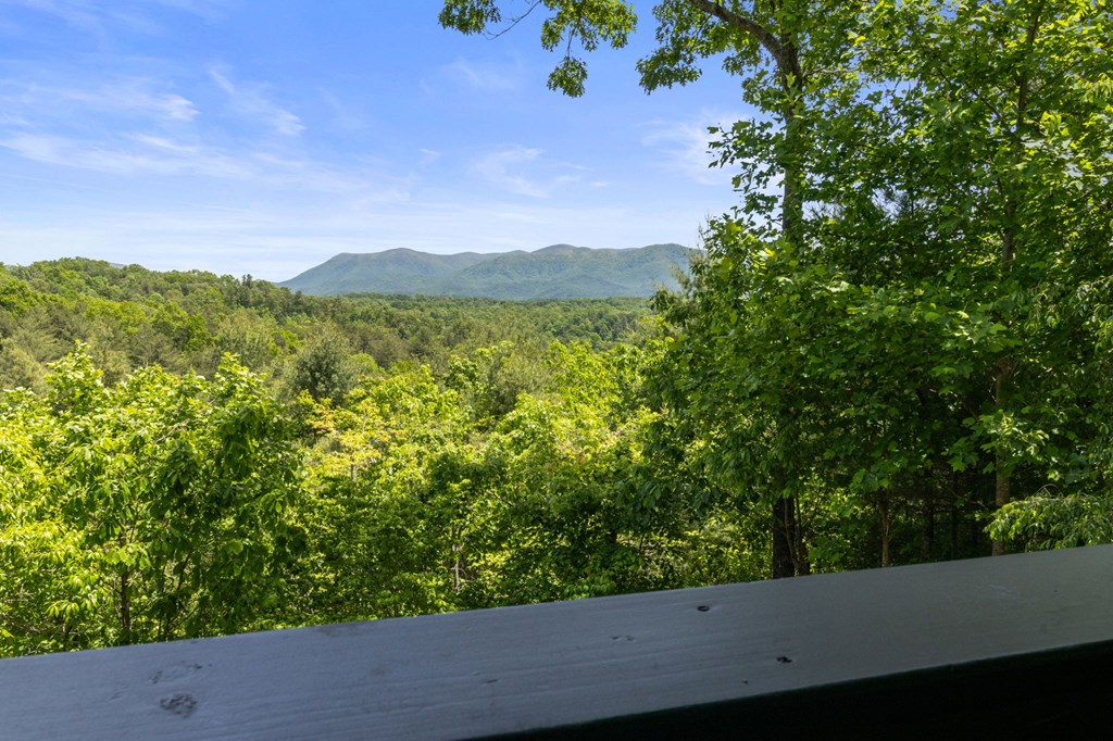 495 Trails End Ridge Ellijay, GA 30540 - Photo 5 of 66 Gallery Image 5