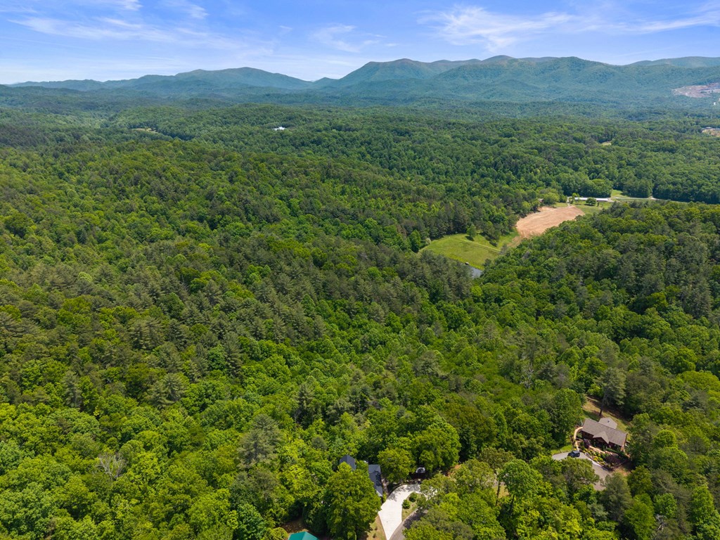 495 Trails End Ridge Ellijay, GA 30540 - Photo 55 of 66 Gallery Image 55
