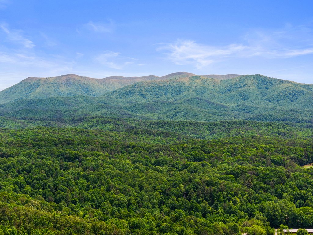 495 Trails End Ridge Ellijay, GA 30540 - Photo 56 of 66 Gallery Image 56