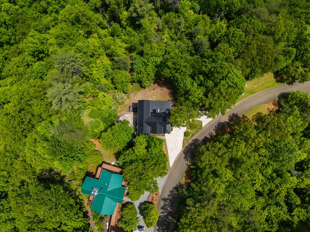 495 Trails End Ridge Ellijay, GA 30540 - Photo 57 of 66 Gallery Image 57