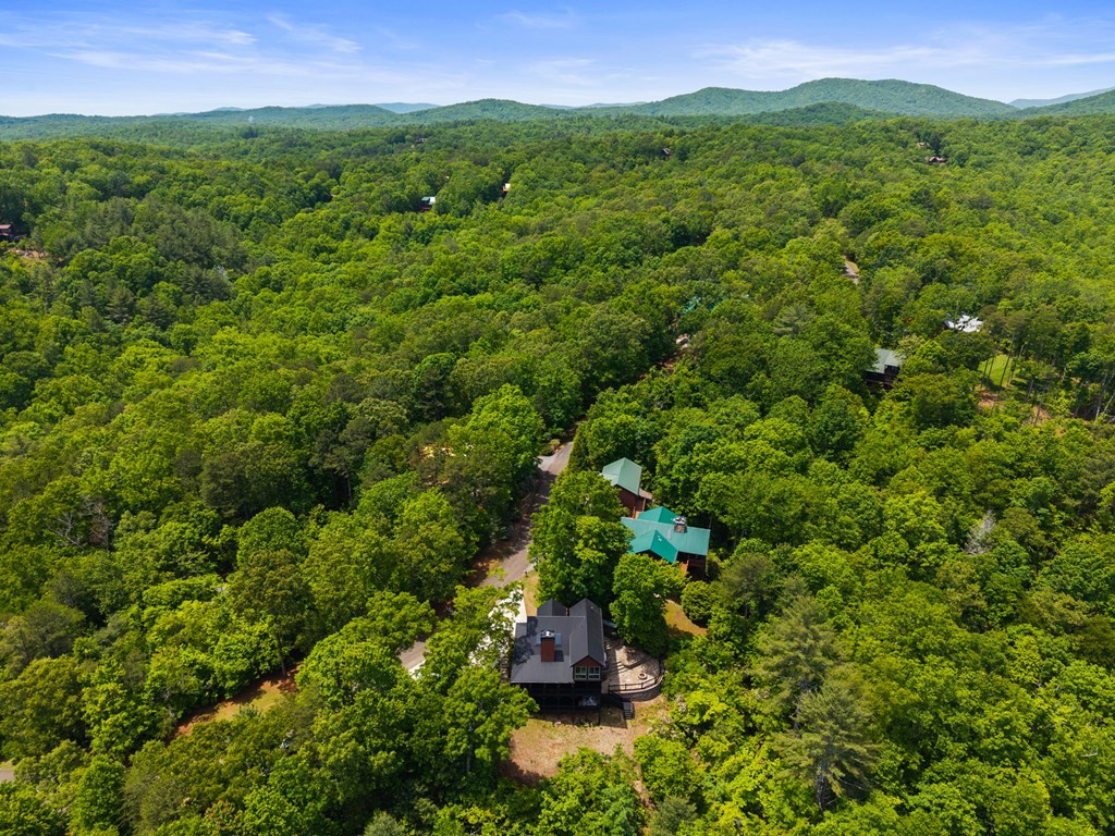 495 Trails End Ridge Ellijay, GA 30540 - Photo 58 of 66 Gallery Image 58