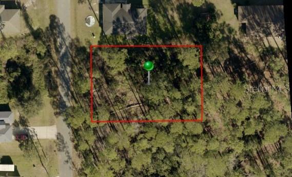 a close up of a plant