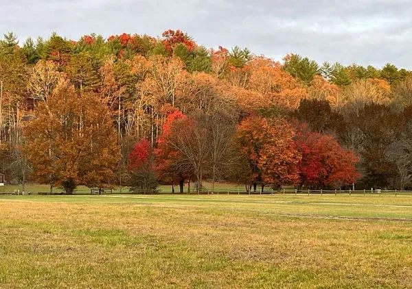 $548,000 | 50 Flax Drive, Murphy, NC 28906