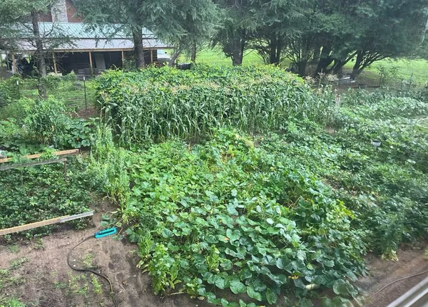 $548,000 | 50 Flax Drive, Murphy, NC 28906