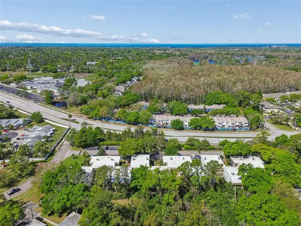 $1,500 | 3300 Fox Chase Circle, Unit 202, Palm Harbor, FL 34683