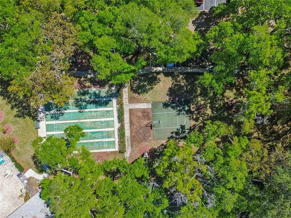 $1,500 | 3300 Fox Chase Circle, Unit 202, Palm Harbor, FL 34683