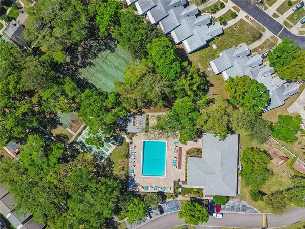 $1,500 | 3300 Fox Chase Circle, Unit 202, Palm Harbor, FL 34683