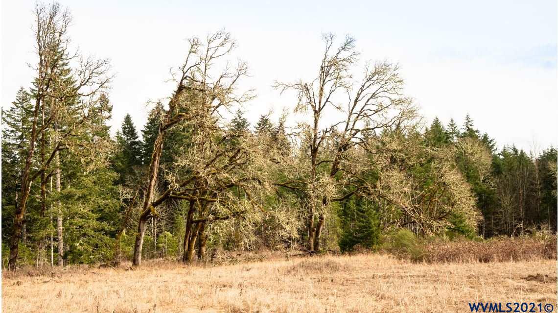 Gooseneck (parcel 289476) Road Sheridan, OR 97378 - Photo 23 of 23