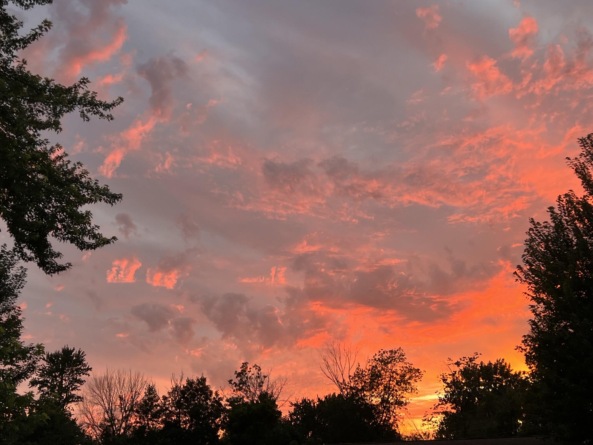 5599 Howard City Edmore Road Vestaburg, MI 48891 - Photo 20 of 47 Sunset Cedar Lake