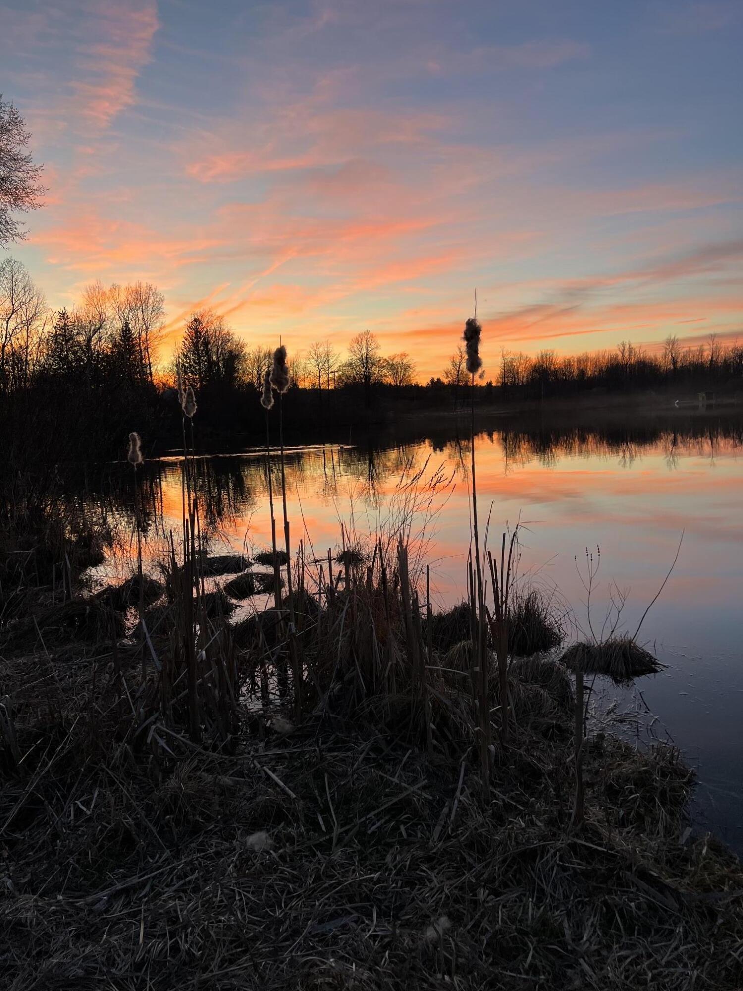 5599 Howard City Edmore Road Vestaburg, MI 48891 - Photo 21 of 47 Sunset Cedar Lake