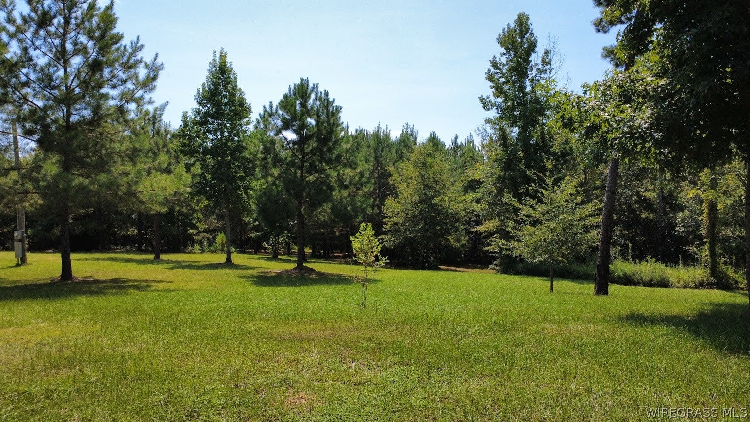 1276 Stuart Tarter Road Ozark, AL 36360 - Photo 45 of 50 Gallery Image 45