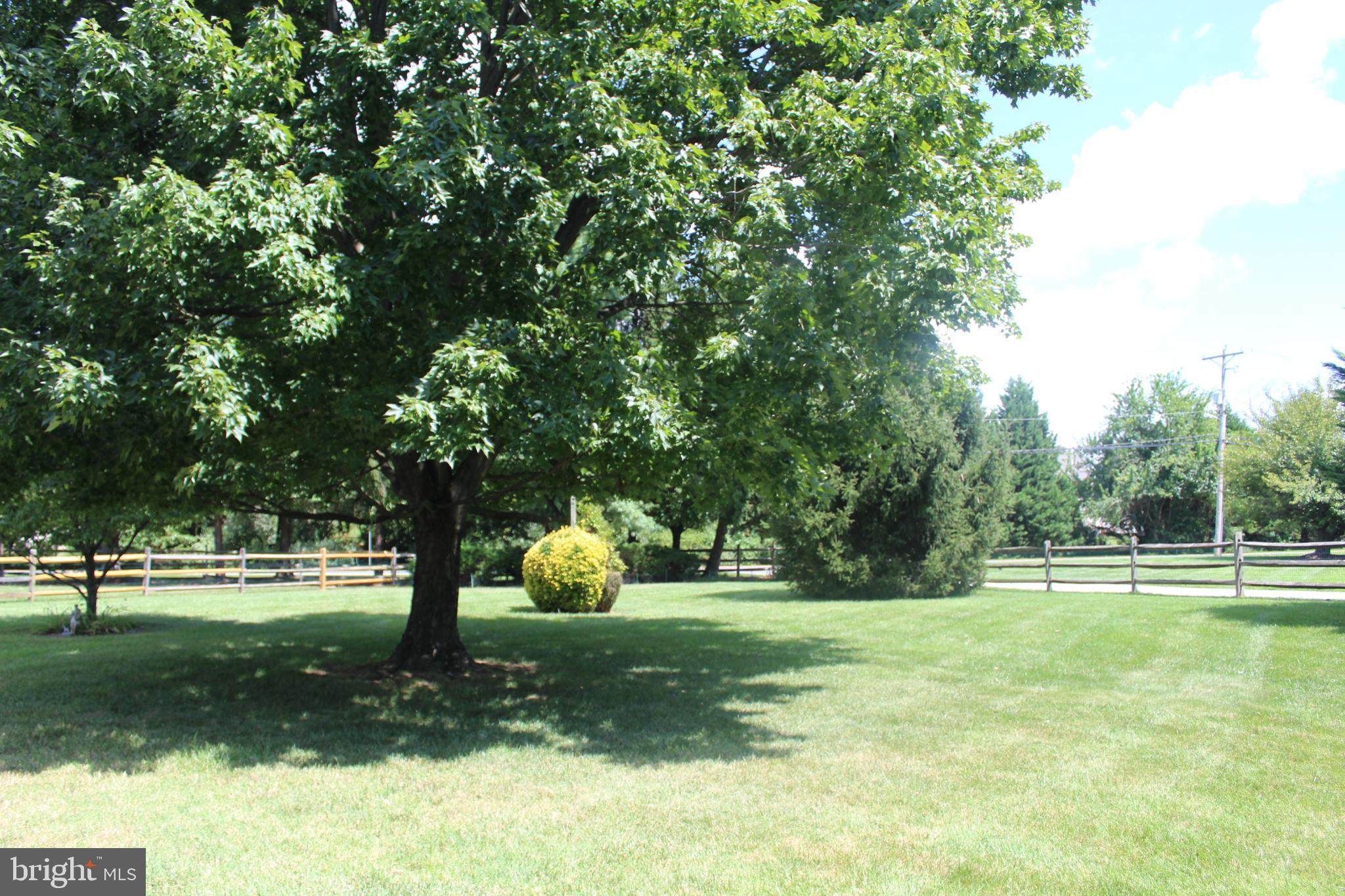 3 Decidedly Lane Bear, DE 19701 - Photo 3 of 6 back yard
