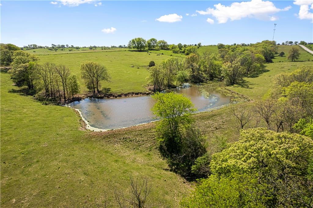 7724 Cavalry Hill Road Odessa, MO 64076 - Photo 19 of 61
