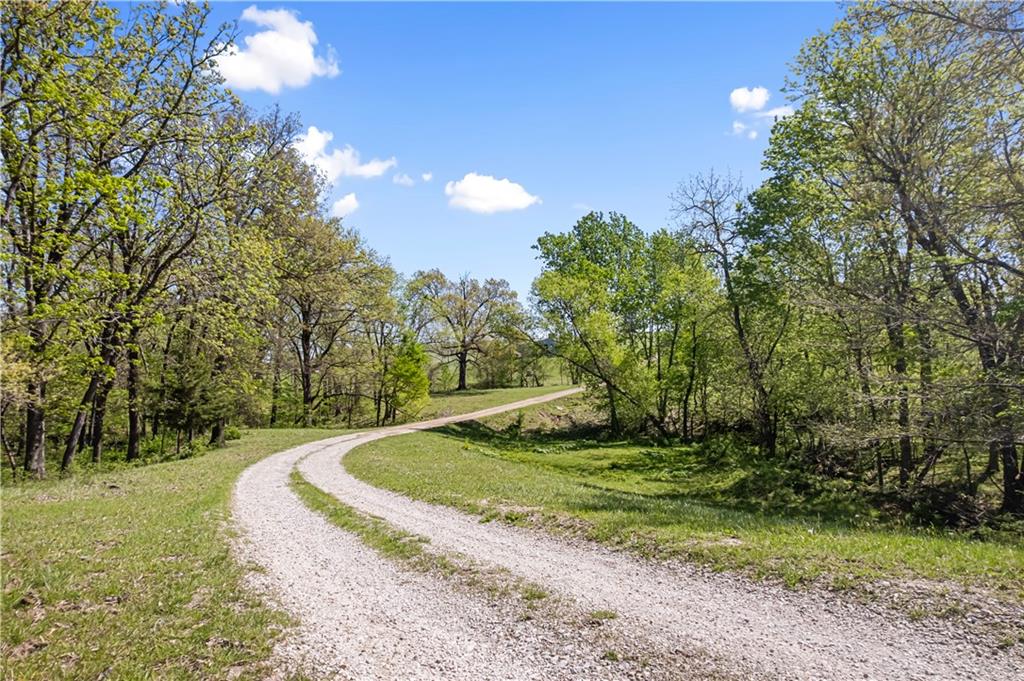 7724 Cavalry Hill Road Odessa, MO 64076 - Photo 21 of 61