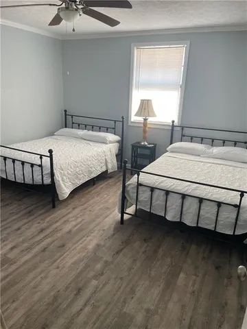 a view of a yard with plants