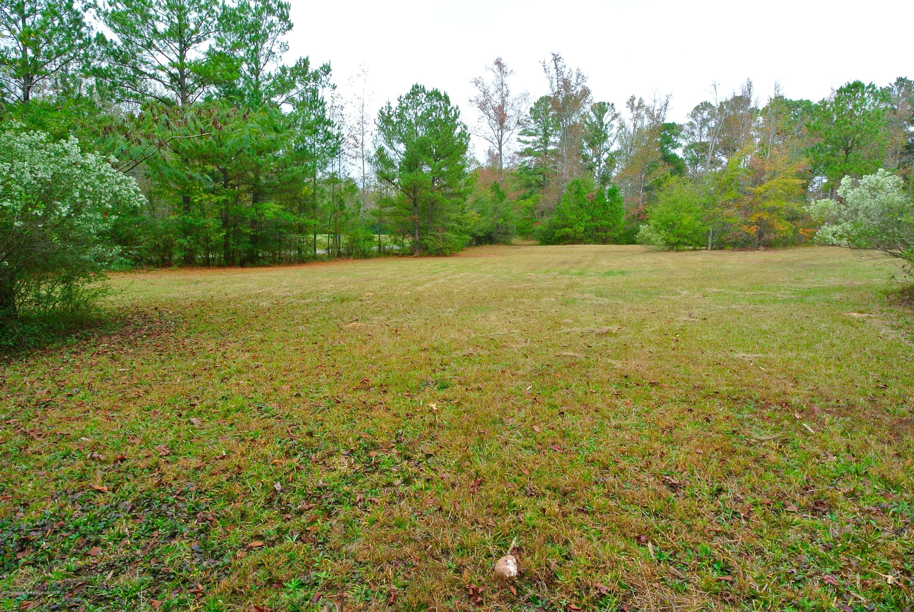 324 Ridgewood Jasper, AL 35504 - Photo 39 of 43 Gallery Image 39