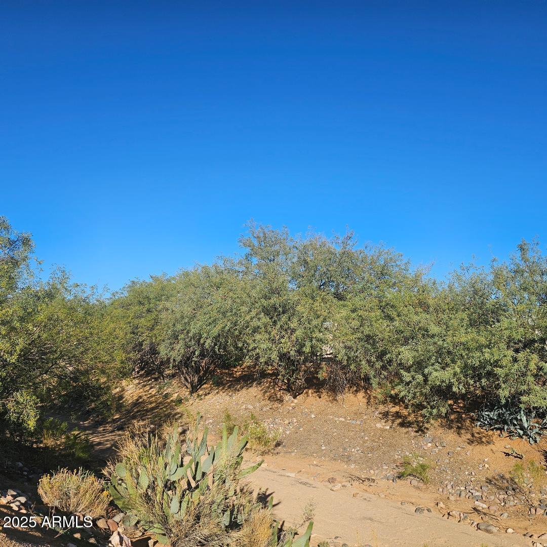 30605 Meandering Lane, Unit 151 Congress, AZ 85332 - Photo 17 of 18