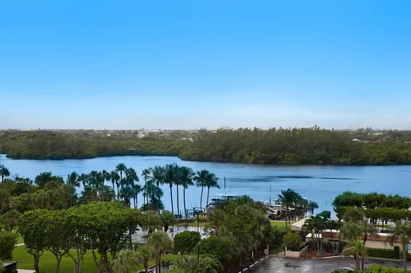 a view of a park with large trees