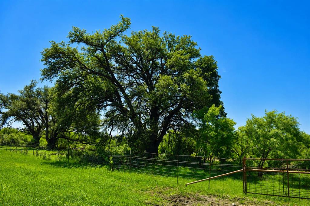 8228 Us Highway Rochelle, TX 76872 - Photo 9 of 36 a view of backyard with green space