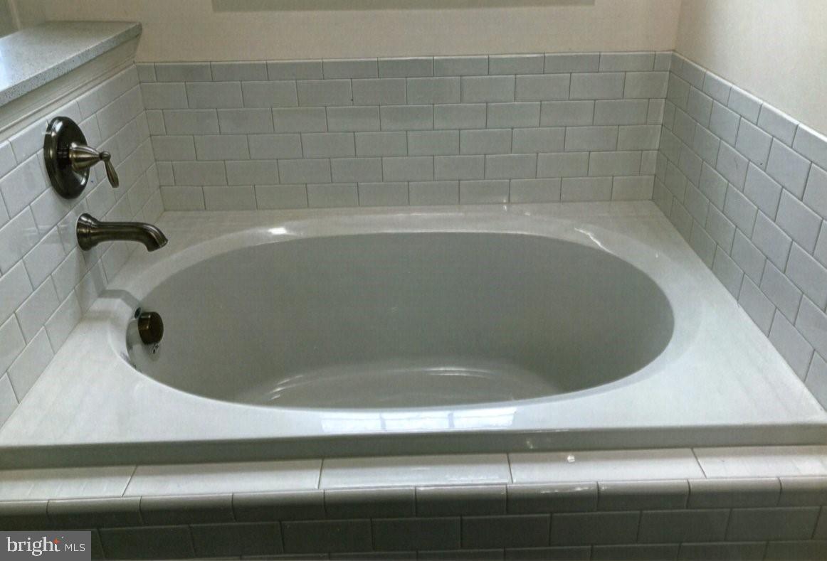 848 Little Egypt Road Elkton, MD 21921 - Photo 18 of 27 Master Soaking Tub