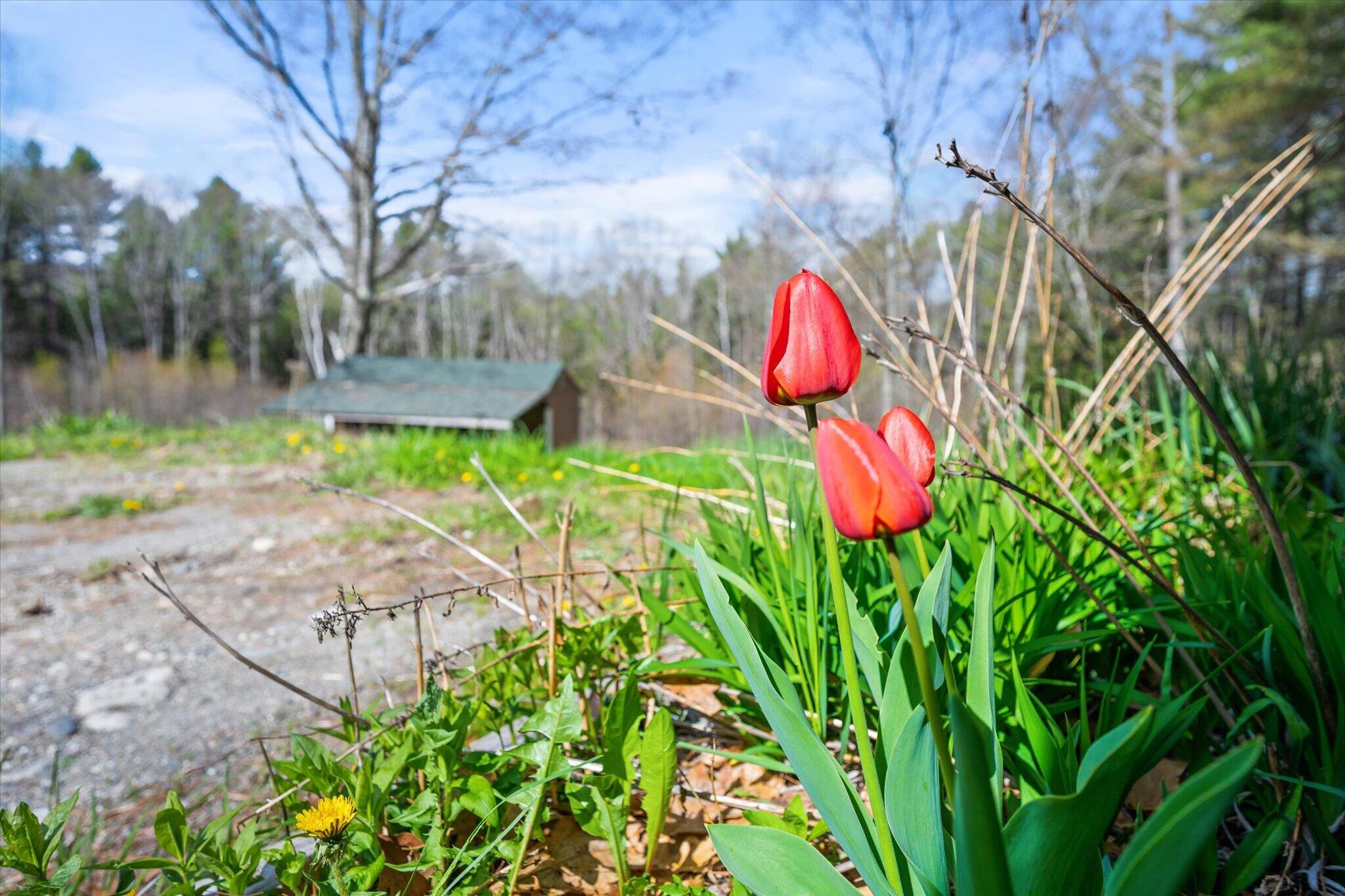 1492 River Road Bucksport, ME 04416 - Photo 7 of 48 43-1492 River Rd