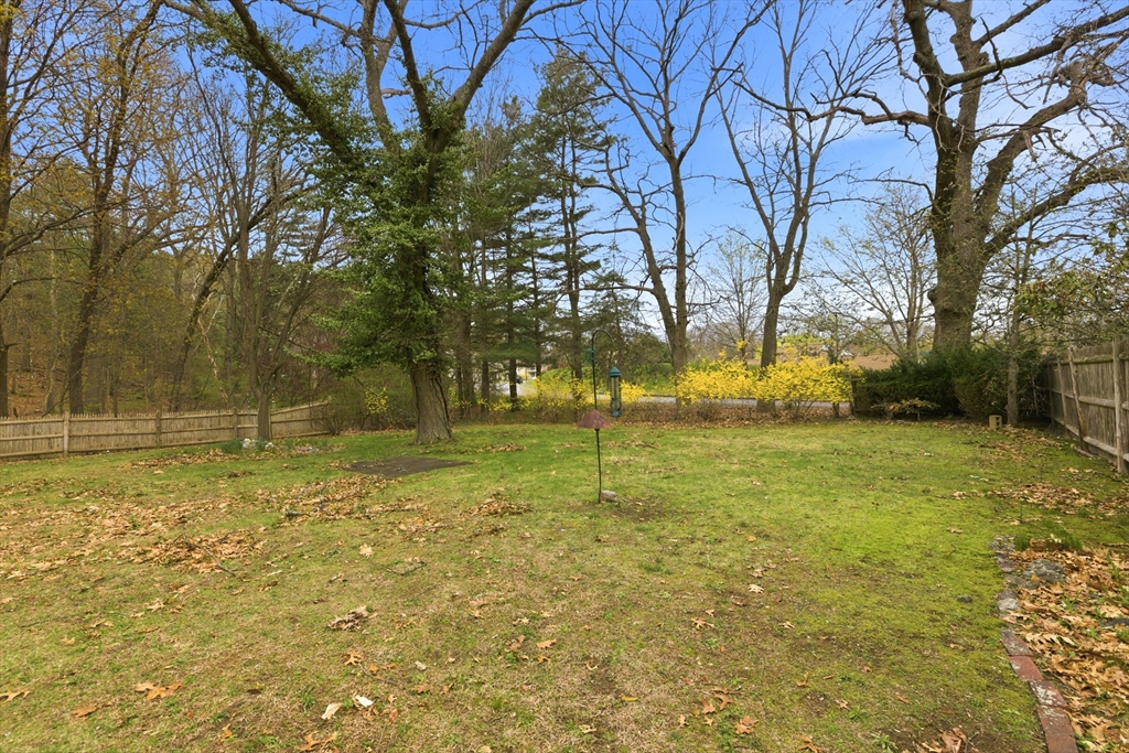 17 Evergreen Road Needham, MA 02494 - Photo 24 of 27