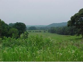 1365 G'Fellers Road Chuckey, TN 37641 - Photo 1 of 6 Photo 1