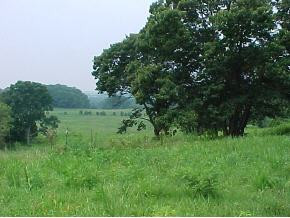 1365 G'Fellers Road Chuckey, TN 37641 - Photo 2 of 6 Photo 2