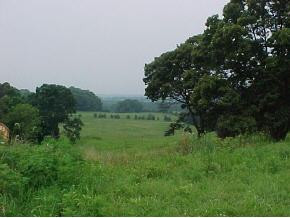 1365 G'Fellers Road Chuckey, TN 37641 - Photo 3 of 6 Photo 3