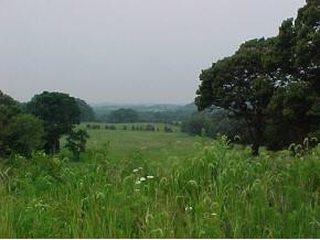 1365 G'Fellers Road Chuckey, TN 37641 - Photo 4 of 6 Photo 4