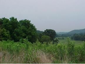 1365 G'Fellers Road Chuckey, TN 37641 - Photo 6 of 6 Photo 6