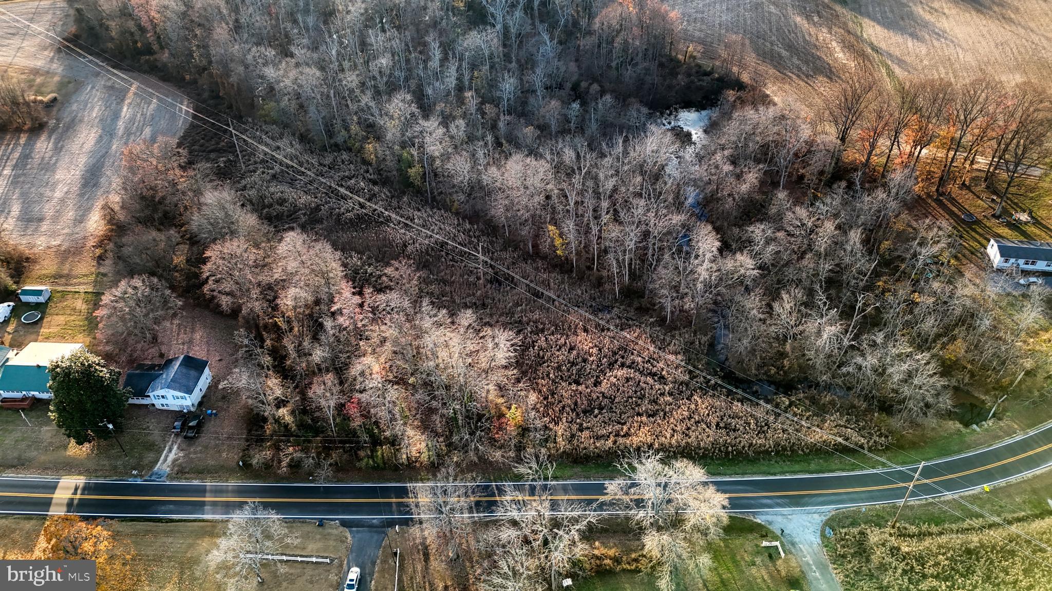 0 Dundee Road Dover, DE 19904 - Photo 11 of 11 a view of swimming pool with lawn chairs and plants