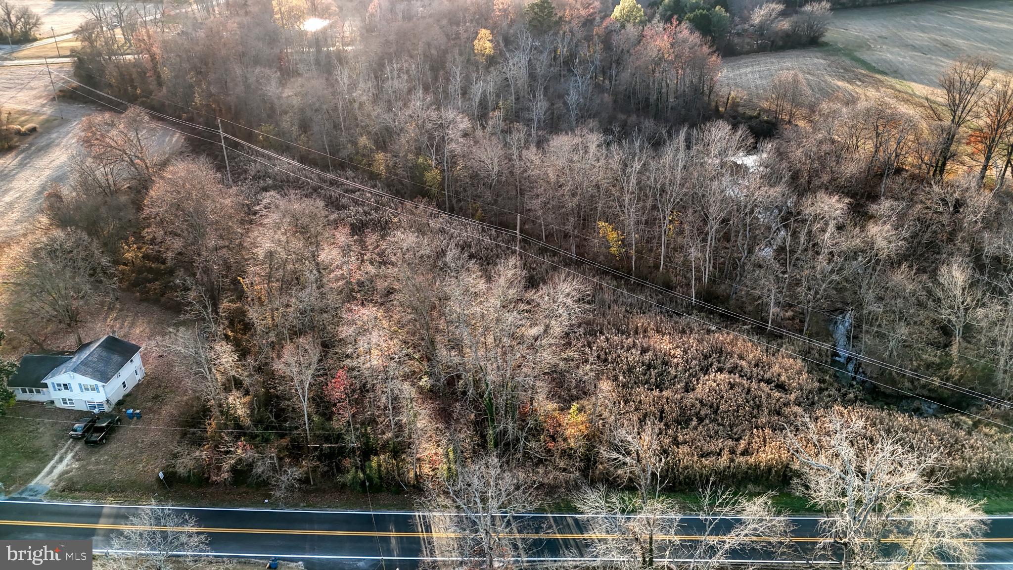 0 Dundee Road Dover, DE 19904 - Photo 10 of 11 a view of outdoor space and yard