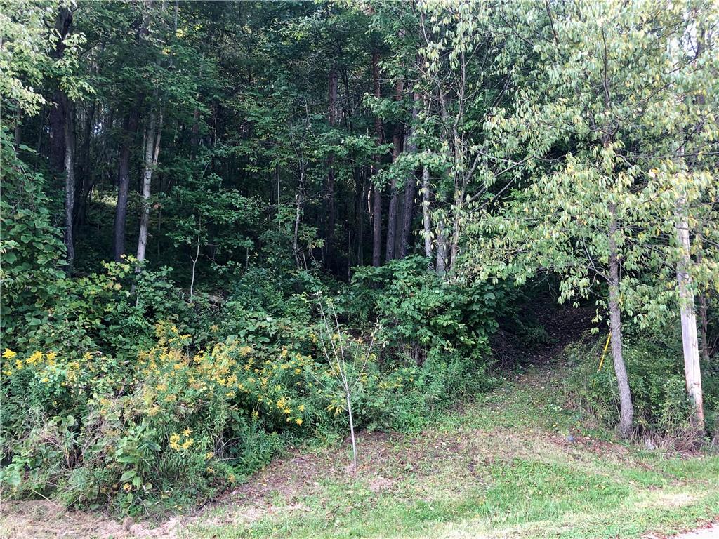 203 Lighthouse Road Commodore, PA 15729 - Photo 14 of 16 a view of backyard with green space