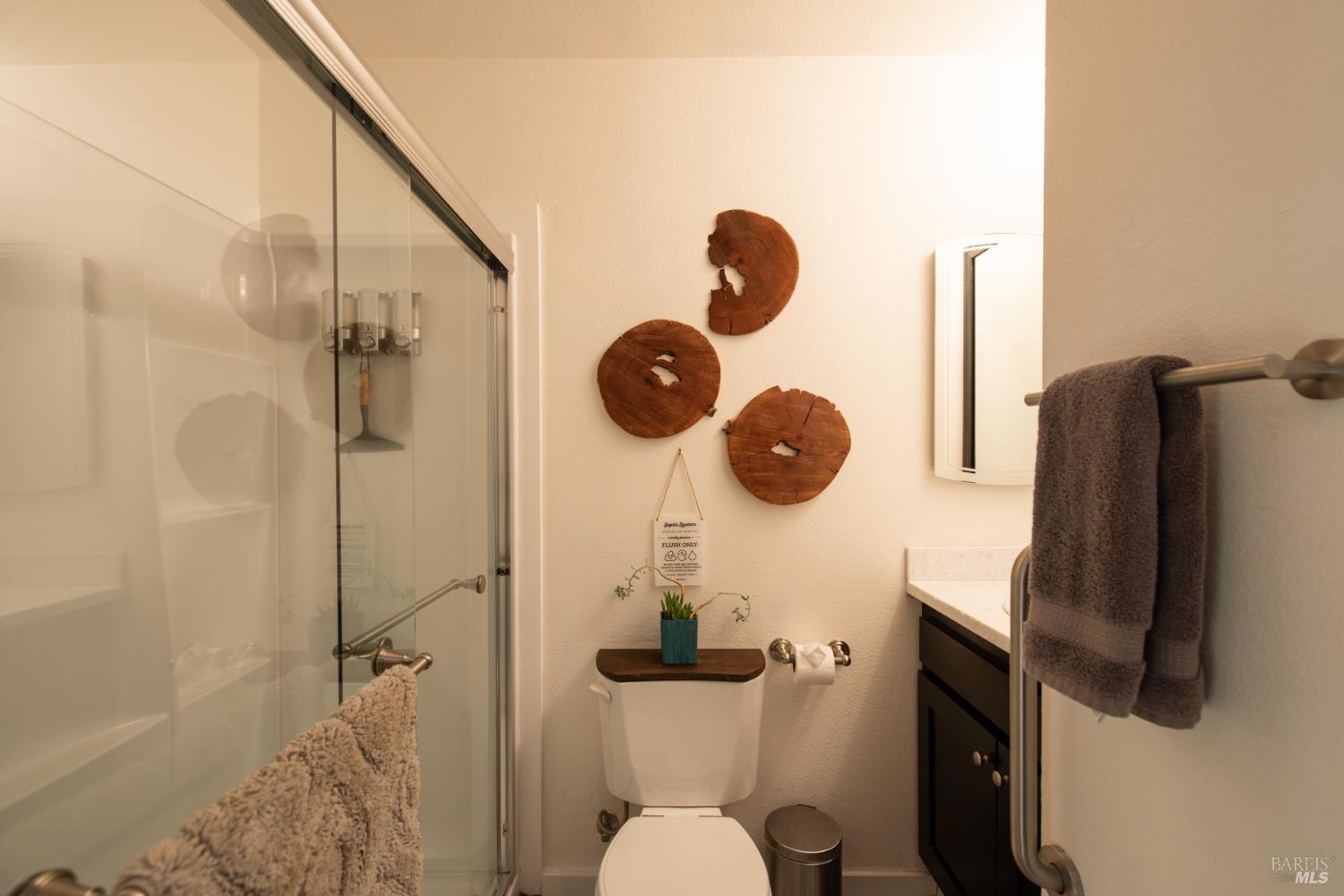 22855 Chianti Road Geyserville, CA 95411 - Photo 45 of 76 a bathroom with a sink mirror and toilet