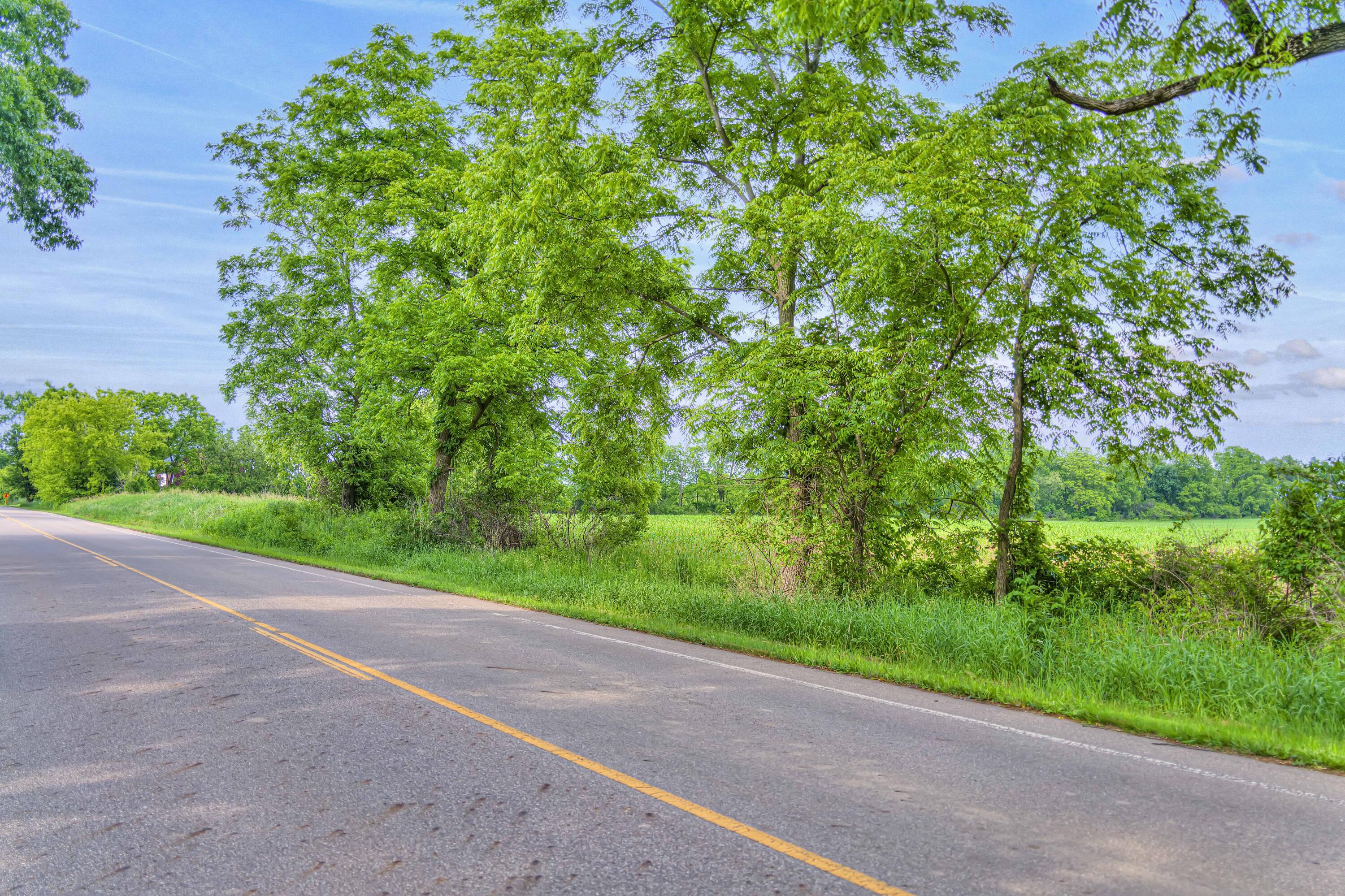 Vl Maple Dale Road Jackson, MI 49201 - Photo 6 of 8 VL Mapledale (6500 Block) 05