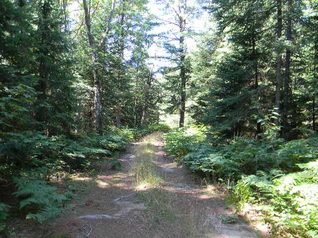 0 Birch Ridge Road Newberry, MI 49868 - Photo 3 of 4 Gallery Image 3