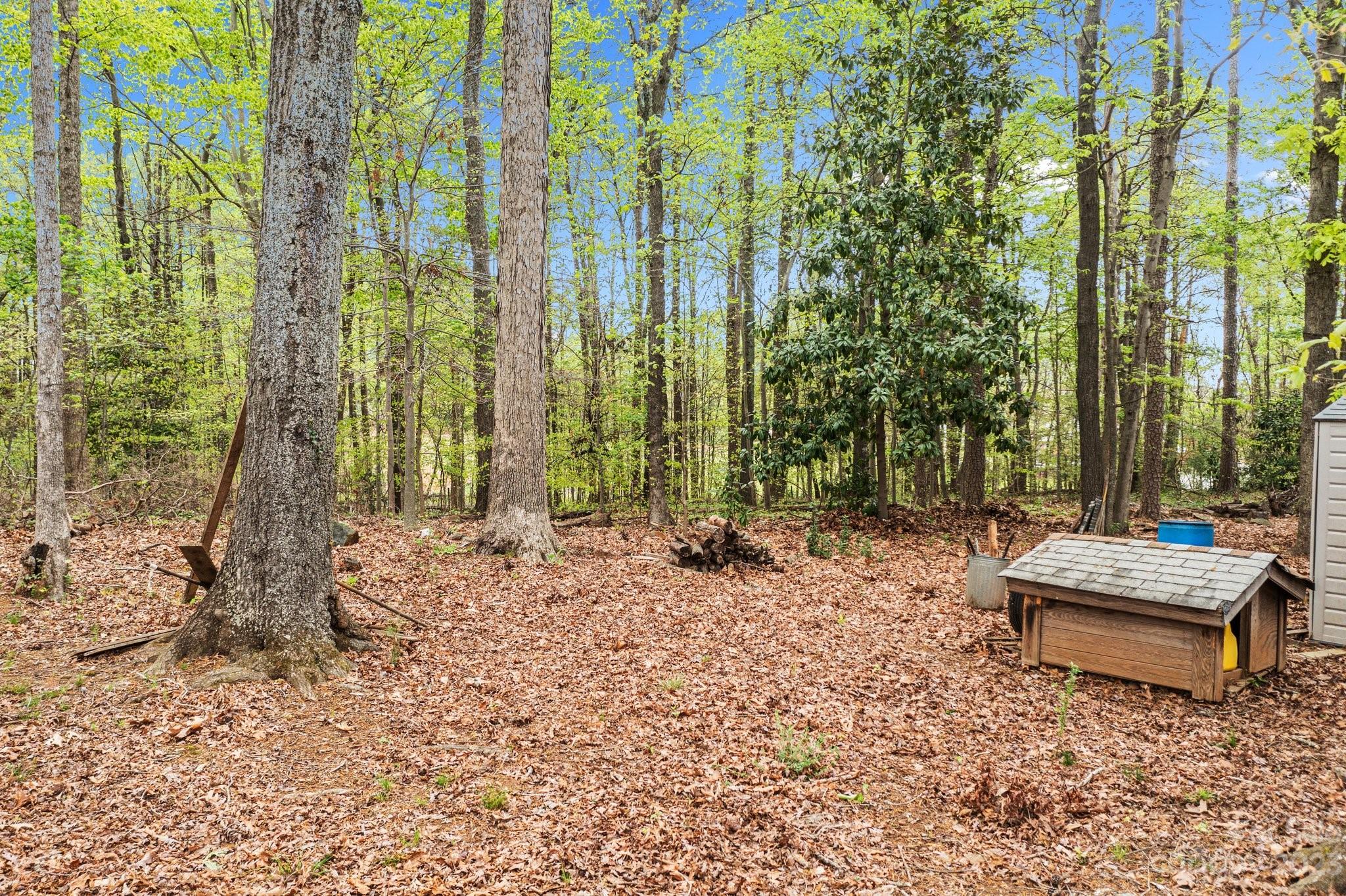 5641 Anderson Road Charlotte, NC 28269 - Photo 27 of 27 a wooden bench sitting in the middle of a forest