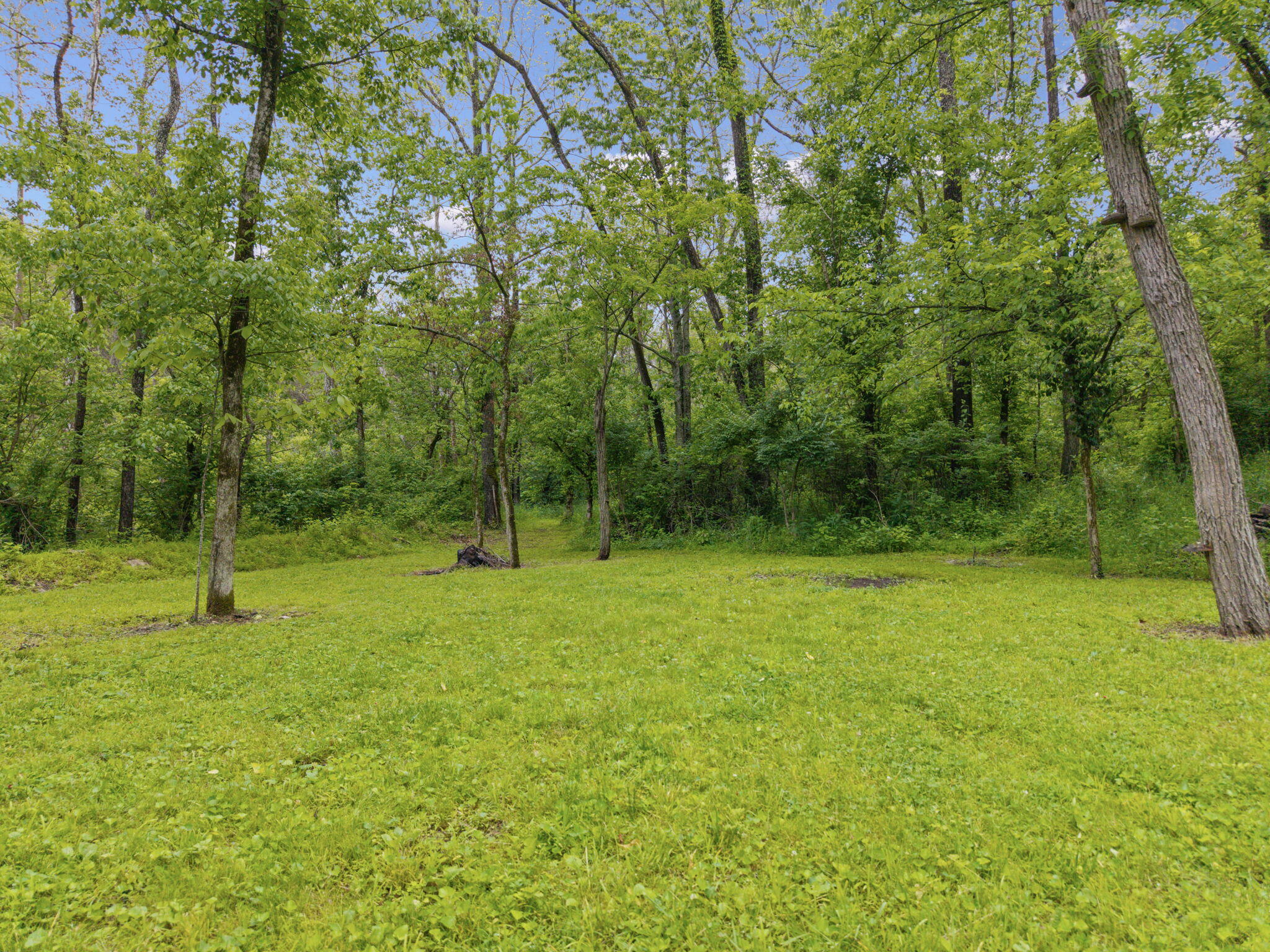 925 Lockmier Road Augusta, KY 41002 - Photo 6 of 50