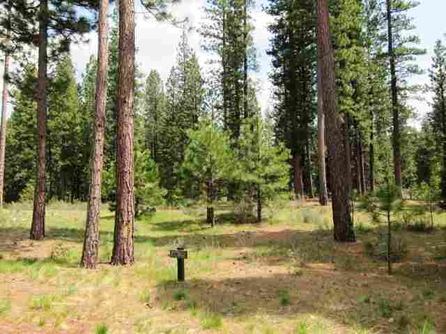 686 Bobcat Trail Clio, CA 96106 - Photo 2 of 18