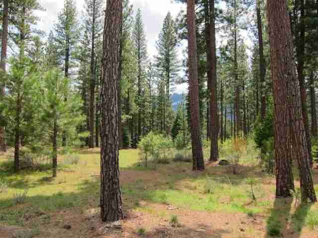 686 Bobcat Trail Clio, CA 96106 - Photo 3 of 18
