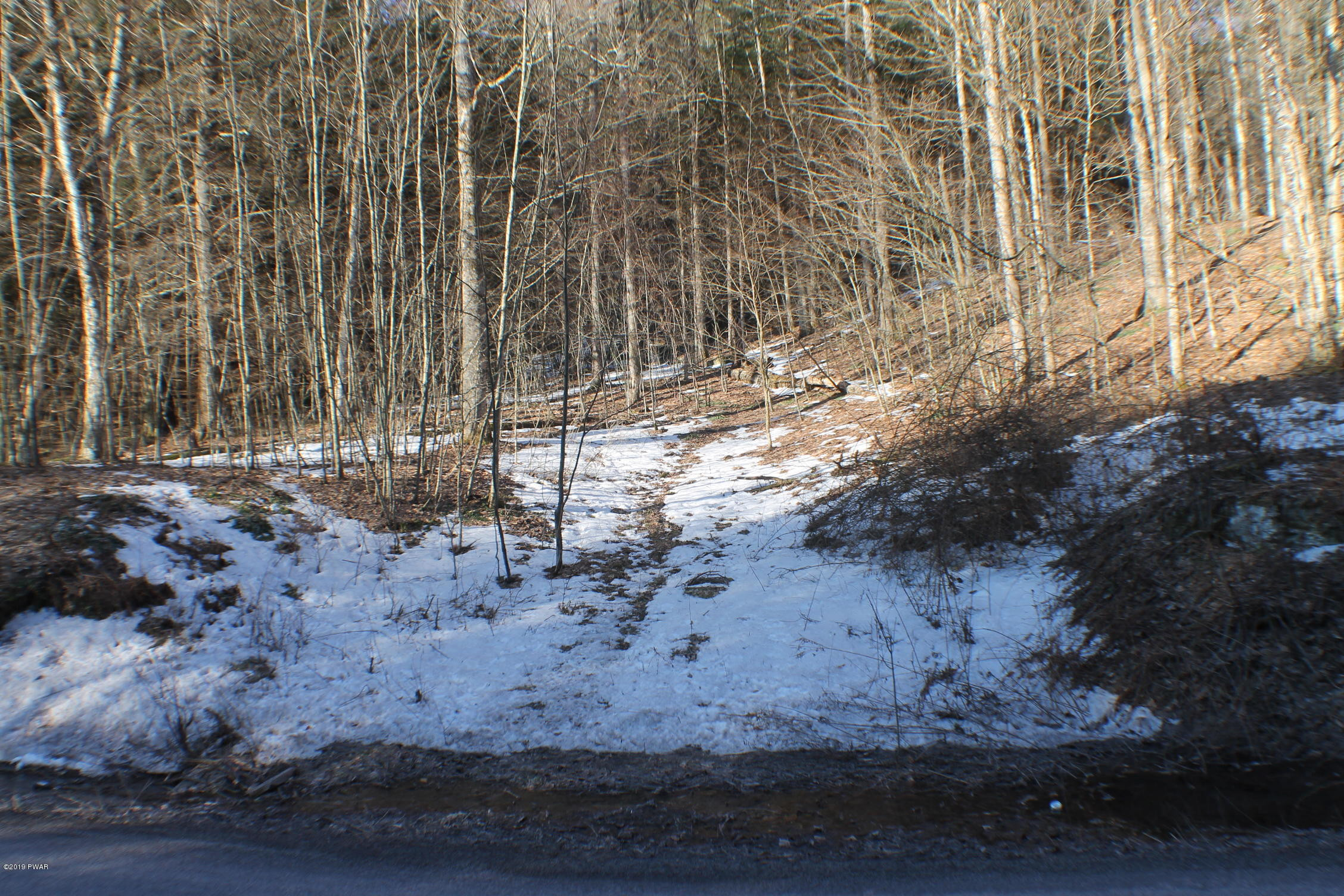 951 Winterdale Road Starlight, PA 18461 - Photo 12 of 14