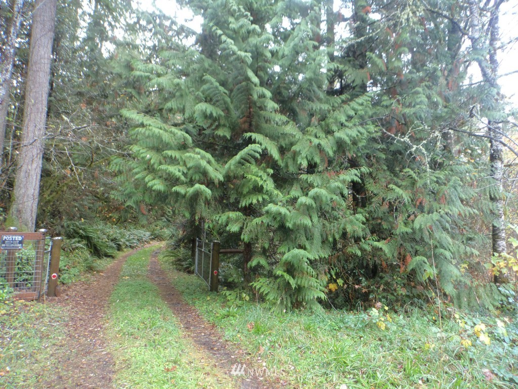 44925 Barrett Road Concrete, WA 98237 - Photo 1 of 22 Gallery Image 1