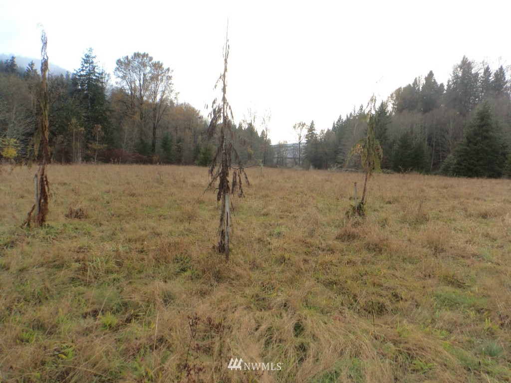 44925 Barrett Road Concrete, WA 98237 - Photo 11 of 22 Gallery Image 11