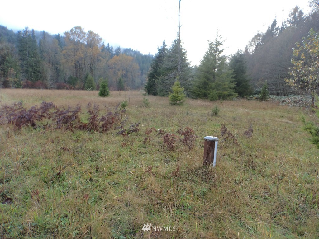 44925 Barrett Road Concrete, WA 98237 - Photo 12 of 22 Gallery Image 12