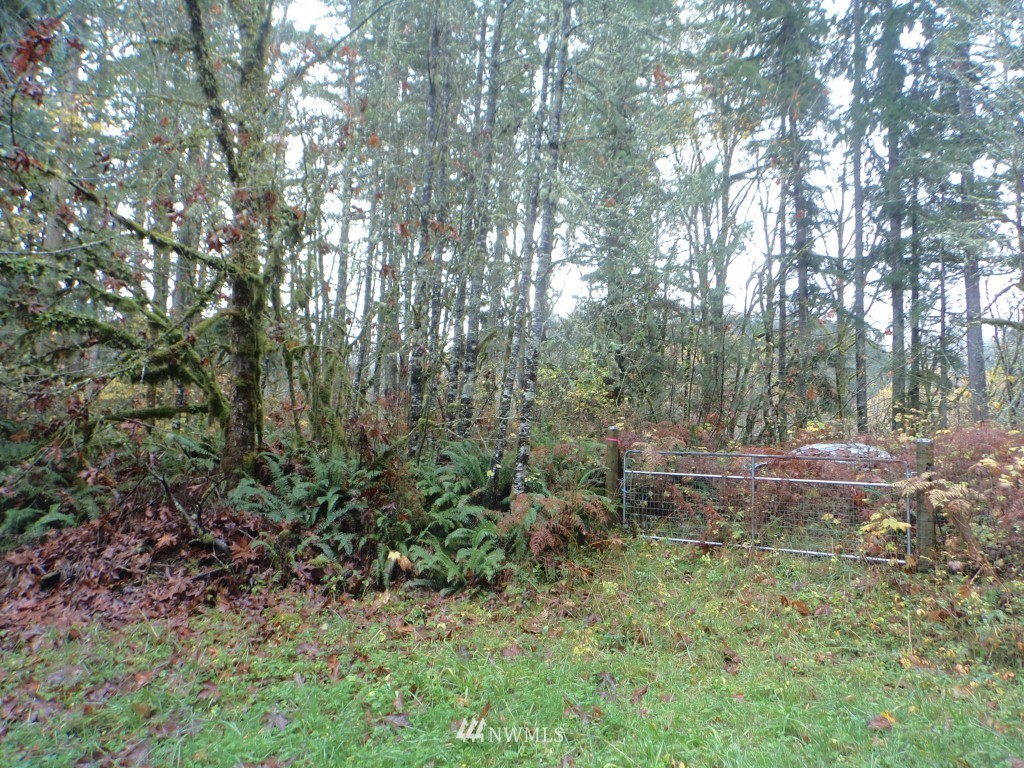 44925 Barrett Road Concrete, WA 98237 - Photo 15 of 22 Gallery Image 15