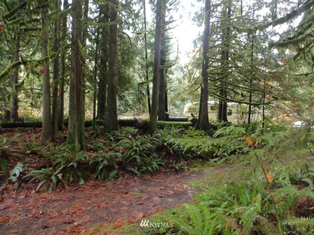 44925 Barrett Road Concrete, WA 98237 - Photo 17 of 22 Gallery Image 17